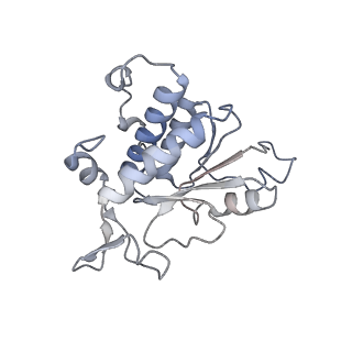 10224_6skg_Ab_v1-1
Cryo-EM Structure of T. kodakarensis 70S ribosome in TkNat10 deleted strain