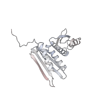 10224_6skg_Ac_v1-1
Cryo-EM Structure of T. kodakarensis 70S ribosome in TkNat10 deleted strain