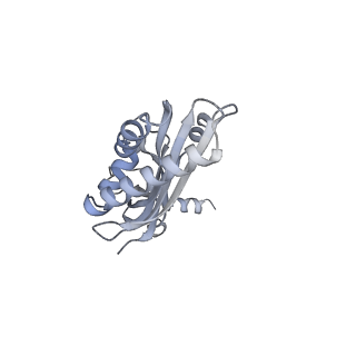 10224_6skg_Ad_v1-1
Cryo-EM Structure of T. kodakarensis 70S ribosome in TkNat10 deleted strain