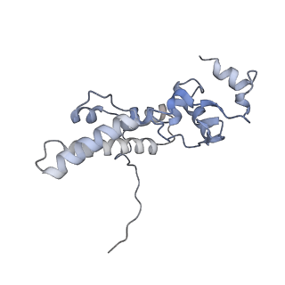 10224_6skg_Ae_v1-1
Cryo-EM Structure of T. kodakarensis 70S ribosome in TkNat10 deleted strain