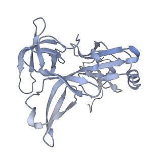 10224_6skg_Af_v1-1
Cryo-EM Structure of T. kodakarensis 70S ribosome in TkNat10 deleted strain