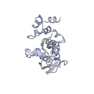 10224_6skg_Ag_v1-1
Cryo-EM Structure of T. kodakarensis 70S ribosome in TkNat10 deleted strain