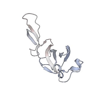 10224_6skg_Ah_v1-1
Cryo-EM Structure of T. kodakarensis 70S ribosome in TkNat10 deleted strain