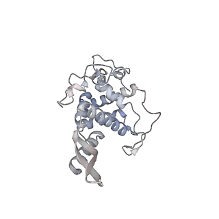 10224_6skg_Ai_v1-1
Cryo-EM Structure of T. kodakarensis 70S ribosome in TkNat10 deleted strain