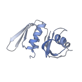 10224_6skg_Aj_v1-1
Cryo-EM Structure of T. kodakarensis 70S ribosome in TkNat10 deleted strain