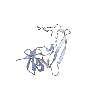 10224_6skg_Ak_v1-1
Cryo-EM Structure of T. kodakarensis 70S ribosome in TkNat10 deleted strain