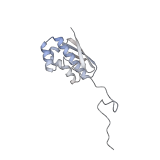 10224_6skg_Al_v1-1
Cryo-EM Structure of T. kodakarensis 70S ribosome in TkNat10 deleted strain