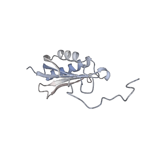 10224_6skg_An_v1-1
Cryo-EM Structure of T. kodakarensis 70S ribosome in TkNat10 deleted strain
