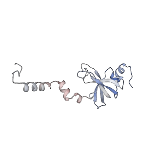 10224_6skg_Ao_v1-1
Cryo-EM Structure of T. kodakarensis 70S ribosome in TkNat10 deleted strain