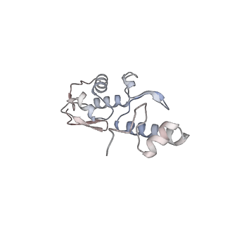 10224_6skg_Ap_v1-1
Cryo-EM Structure of T. kodakarensis 70S ribosome in TkNat10 deleted strain