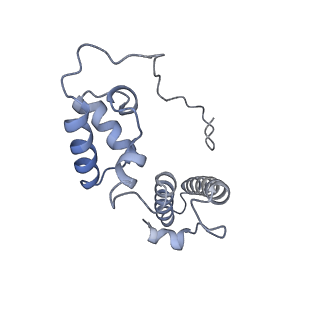 10224_6skg_Aq_v1-1
Cryo-EM Structure of T. kodakarensis 70S ribosome in TkNat10 deleted strain