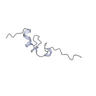10224_6skg_Ar_v1-1
Cryo-EM Structure of T. kodakarensis 70S ribosome in TkNat10 deleted strain
