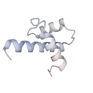 10224_6skg_At_v1-1
Cryo-EM Structure of T. kodakarensis 70S ribosome in TkNat10 deleted strain