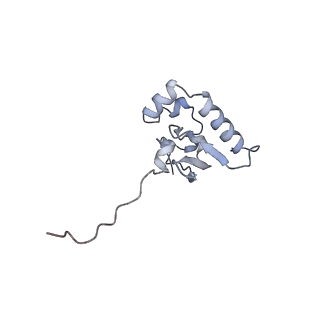 10224_6skg_Au_v1-1
Cryo-EM Structure of T. kodakarensis 70S ribosome in TkNat10 deleted strain