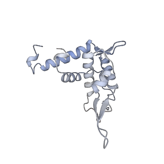 10224_6skg_Av_v1-1
Cryo-EM Structure of T. kodakarensis 70S ribosome in TkNat10 deleted strain