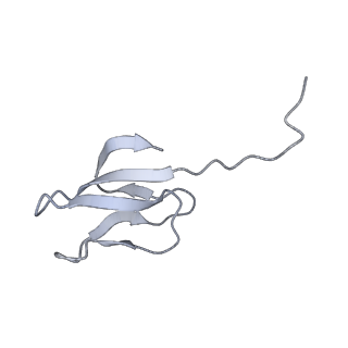 10224_6skg_Ax_v1-1
Cryo-EM Structure of T. kodakarensis 70S ribosome in TkNat10 deleted strain