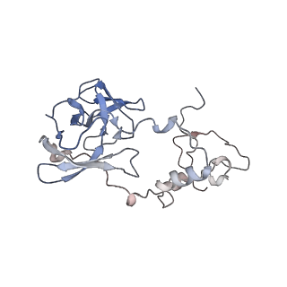 10224_6skg_BC_v1-1
Cryo-EM Structure of T. kodakarensis 70S ribosome in TkNat10 deleted strain