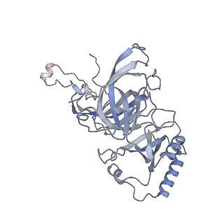 10224_6skg_BD_v1-1
Cryo-EM Structure of T. kodakarensis 70S ribosome in TkNat10 deleted strain