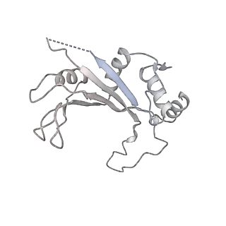 10224_6skg_BF_v1-1
Cryo-EM Structure of T. kodakarensis 70S ribosome in TkNat10 deleted strain