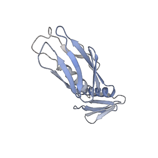 10224_6skg_BG_v1-1
Cryo-EM Structure of T. kodakarensis 70S ribosome in TkNat10 deleted strain