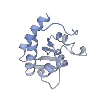 10224_6skg_BH_v1-1
Cryo-EM Structure of T. kodakarensis 70S ribosome in TkNat10 deleted strain