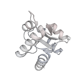 10224_6skg_BI_v1-1
Cryo-EM Structure of T. kodakarensis 70S ribosome in TkNat10 deleted strain