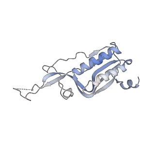 10224_6skg_BJ_v1-1
Cryo-EM Structure of T. kodakarensis 70S ribosome in TkNat10 deleted strain