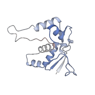 10224_6skg_BK_v1-1
Cryo-EM Structure of T. kodakarensis 70S ribosome in TkNat10 deleted strain