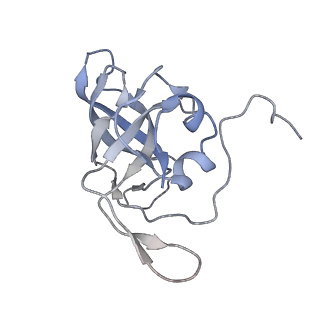 10224_6skg_BL_v1-1
Cryo-EM Structure of T. kodakarensis 70S ribosome in TkNat10 deleted strain
