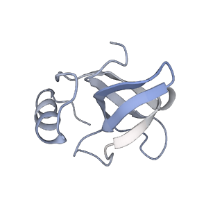 10224_6skg_BM_v1-1
Cryo-EM Structure of T. kodakarensis 70S ribosome in TkNat10 deleted strain