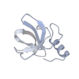 10224_6skg_BN_v1-1
Cryo-EM Structure of T. kodakarensis 70S ribosome in TkNat10 deleted strain