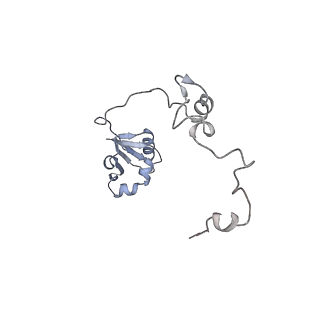 10224_6skg_BO_v1-1
Cryo-EM Structure of T. kodakarensis 70S ribosome in TkNat10 deleted strain