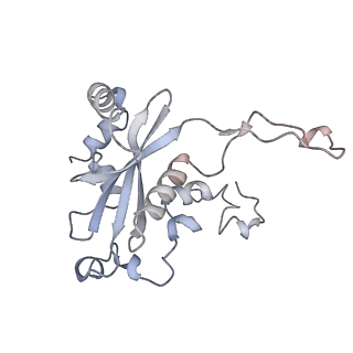 10224_6skg_BP_v1-1
Cryo-EM Structure of T. kodakarensis 70S ribosome in TkNat10 deleted strain