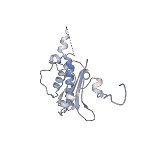 10224_6skg_BQ_v1-1
Cryo-EM Structure of T. kodakarensis 70S ribosome in TkNat10 deleted strain