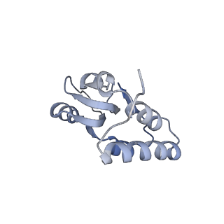 10224_6skg_BR_v1-1
Cryo-EM Structure of T. kodakarensis 70S ribosome in TkNat10 deleted strain