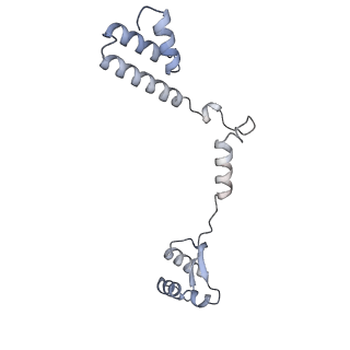10224_6skg_BS_v1-1
Cryo-EM Structure of T. kodakarensis 70S ribosome in TkNat10 deleted strain