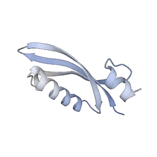 10224_6skg_BT_v1-1
Cryo-EM Structure of T. kodakarensis 70S ribosome in TkNat10 deleted strain