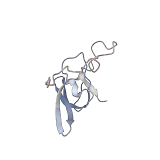 10224_6skg_BU_v1-1
Cryo-EM Structure of T. kodakarensis 70S ribosome in TkNat10 deleted strain