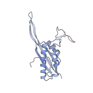 10224_6skg_BV_v1-1
Cryo-EM Structure of T. kodakarensis 70S ribosome in TkNat10 deleted strain