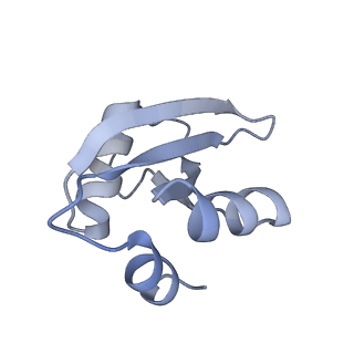 10224_6skg_BW_v1-1
Cryo-EM Structure of T. kodakarensis 70S ribosome in TkNat10 deleted strain