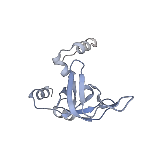10224_6skg_BX_v1-1
Cryo-EM Structure of T. kodakarensis 70S ribosome in TkNat10 deleted strain