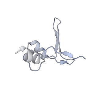 10224_6skg_BY_v1-1
Cryo-EM Structure of T. kodakarensis 70S ribosome in TkNat10 deleted strain