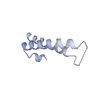 10224_6skg_BZ_v1-1
Cryo-EM Structure of T. kodakarensis 70S ribosome in TkNat10 deleted strain