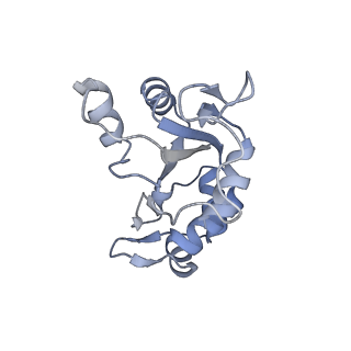 10224_6skg_Ba_v1-1
Cryo-EM Structure of T. kodakarensis 70S ribosome in TkNat10 deleted strain