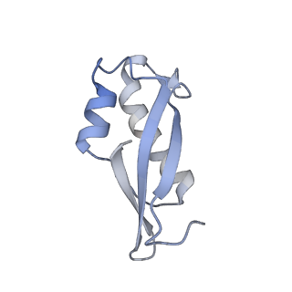 10224_6skg_Bc_v1-1
Cryo-EM Structure of T. kodakarensis 70S ribosome in TkNat10 deleted strain