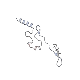 10224_6skg_Be_v1-1
Cryo-EM Structure of T. kodakarensis 70S ribosome in TkNat10 deleted strain