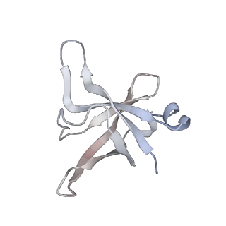 10224_6skg_Bf_v1-1
Cryo-EM Structure of T. kodakarensis 70S ribosome in TkNat10 deleted strain