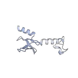 10224_6skg_Bg_v1-1
Cryo-EM Structure of T. kodakarensis 70S ribosome in TkNat10 deleted strain