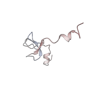 10224_6skg_Bh_v1-1
Cryo-EM Structure of T. kodakarensis 70S ribosome in TkNat10 deleted strain