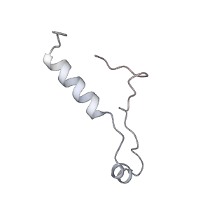 10224_6skg_Bi_v1-1
Cryo-EM Structure of T. kodakarensis 70S ribosome in TkNat10 deleted strain